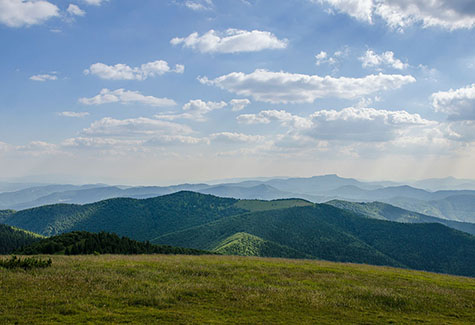 WNC Hardwood Lumber Supplier