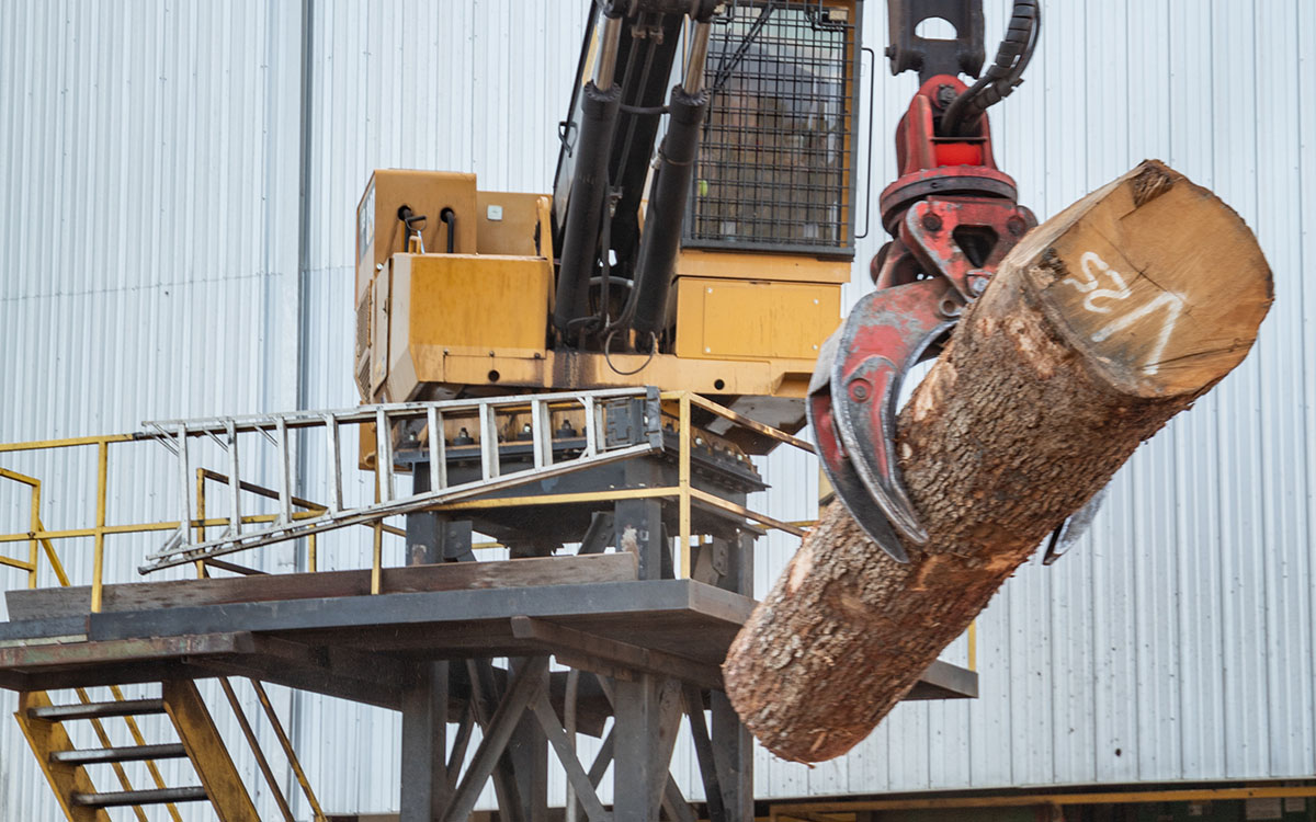 Common Hardwood Lumber Wilkes, NC