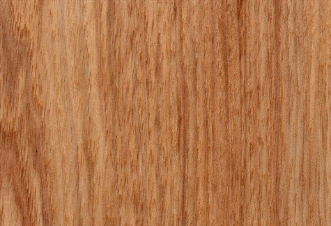 Hickory