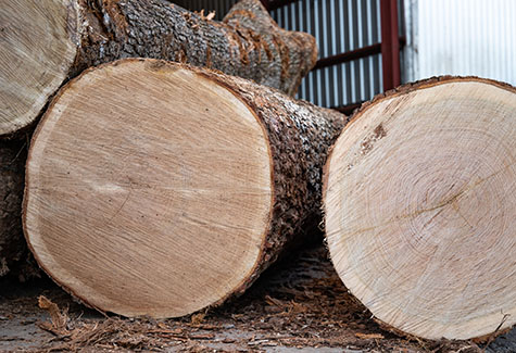 Rift And Quartered White Oak California
