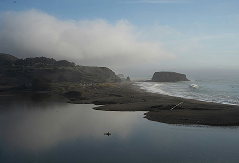 Northern California Hardwood Lumber Supplier