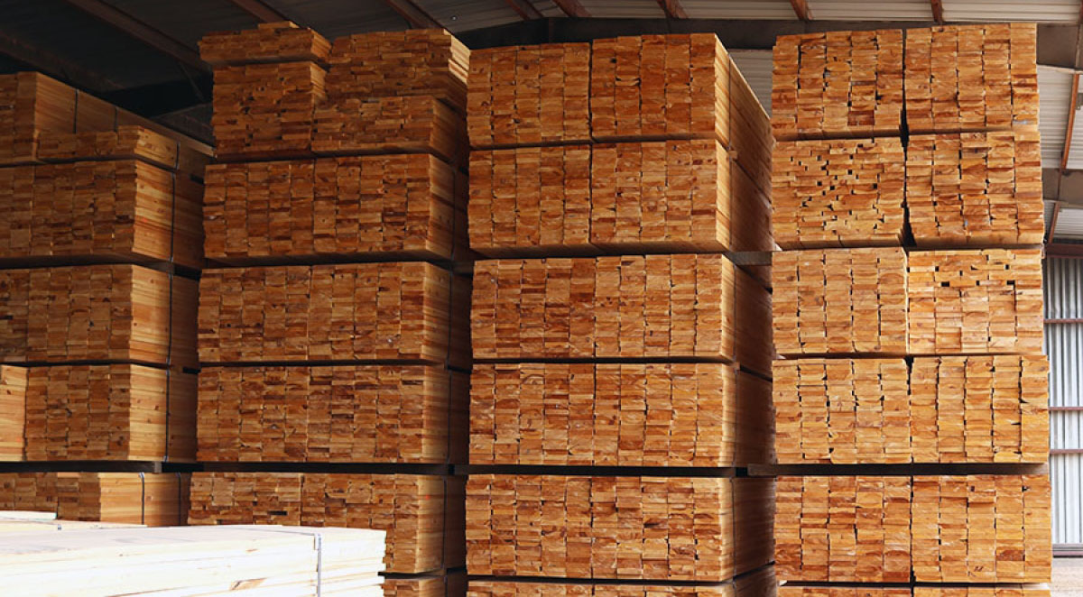 The Planer Mill&rsquo;s Role in the High-Quality Lumber Process