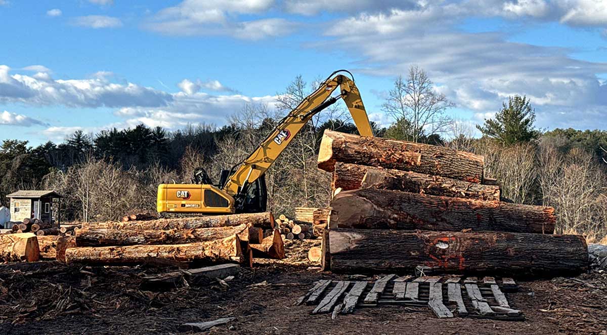 How Our Sawmill Delivers Rift and Quartered White Oak for Premium Projects
