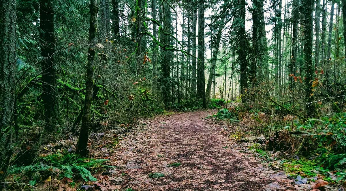 How Your Land Can Help You Save On Taxes