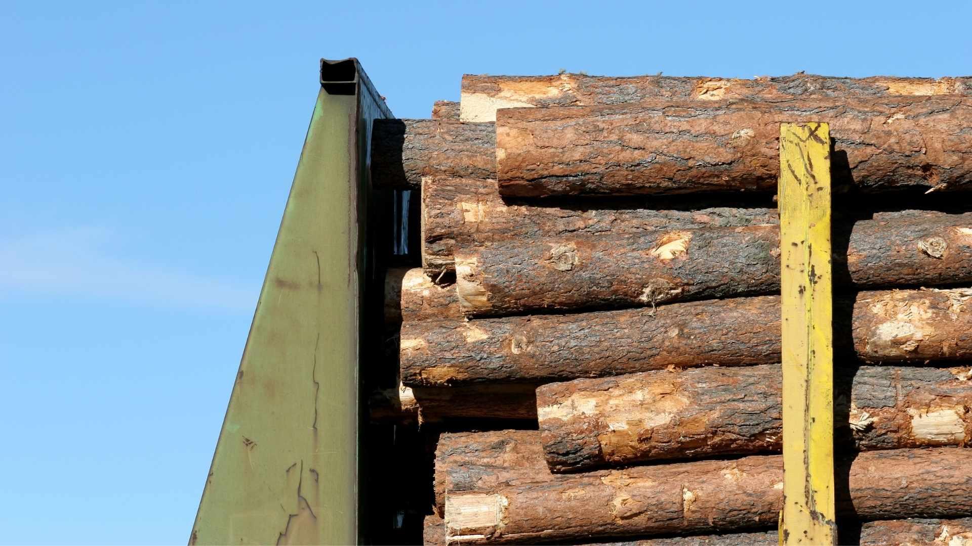 Hardwood Export Services