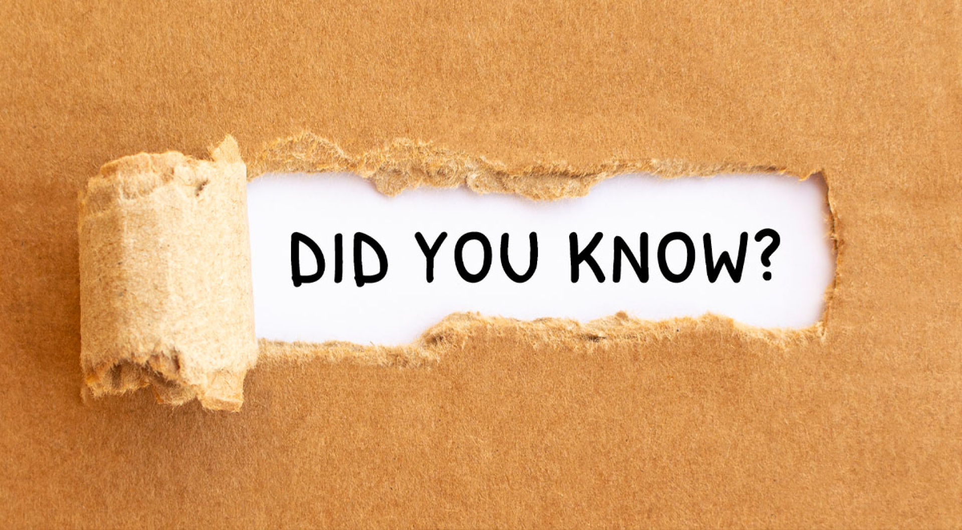 Everything You Need To Know About Our Select Hardwoods