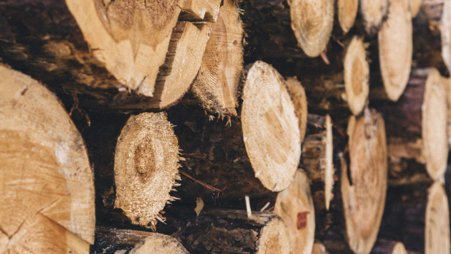 Hardwood Sourcing: Domestic vs. International Supply Chains